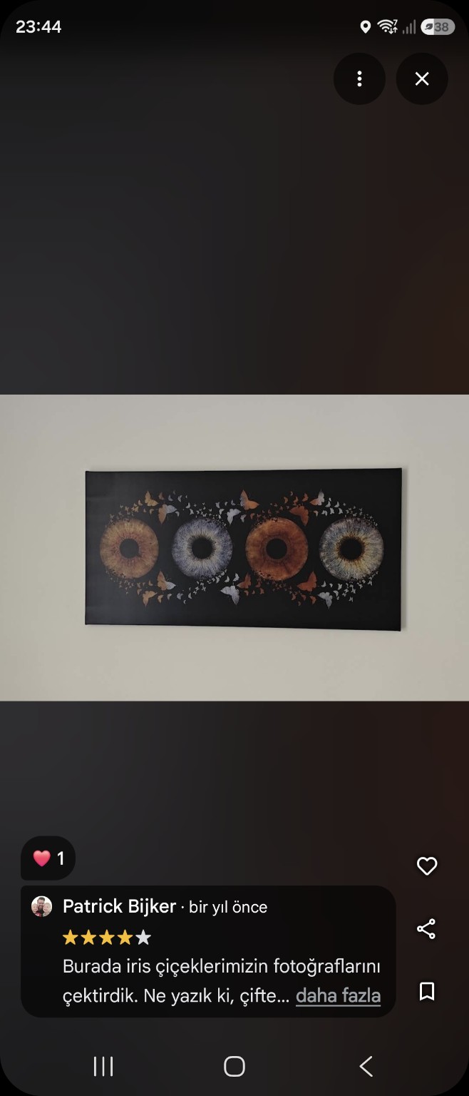 Iris-kunstwerk op de klantfoto van Patrick Bijker