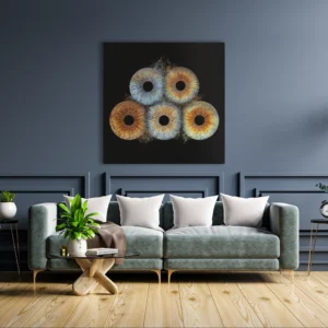 CANVAS - Collision - Image 12
