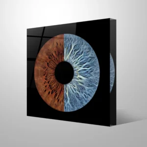 FOTOBLOK - Fusion - Image 2