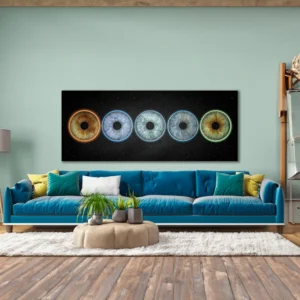 CANVAS - Universum - Image 5