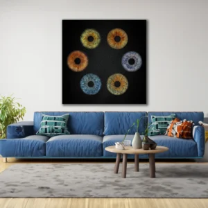 CANVAS - Pure - Image 10