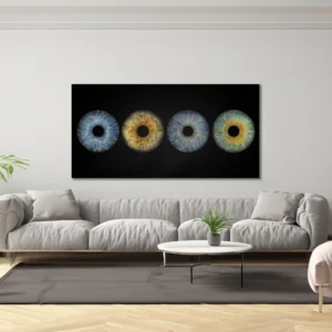 CANVAS - Pure - Image 7