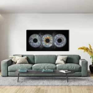 CANVAS - Collision - Image 6