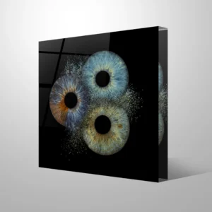 FOTOBLOK - Collision - Image 3