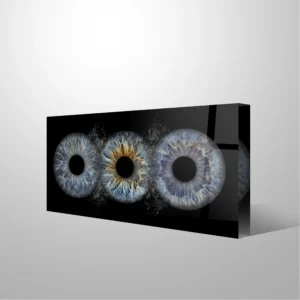 FOTOBLOK - Collision - Image 4