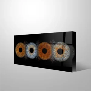 FOTOBLOK - Collision - Image 6