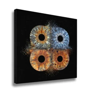 CANVAS - Collision - Image 11