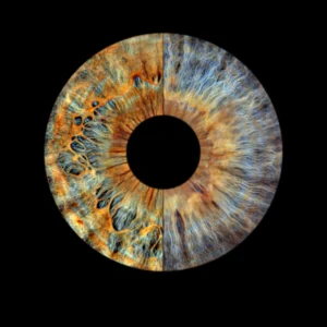 ACRYLIC GLASS - Fusion - Image 3